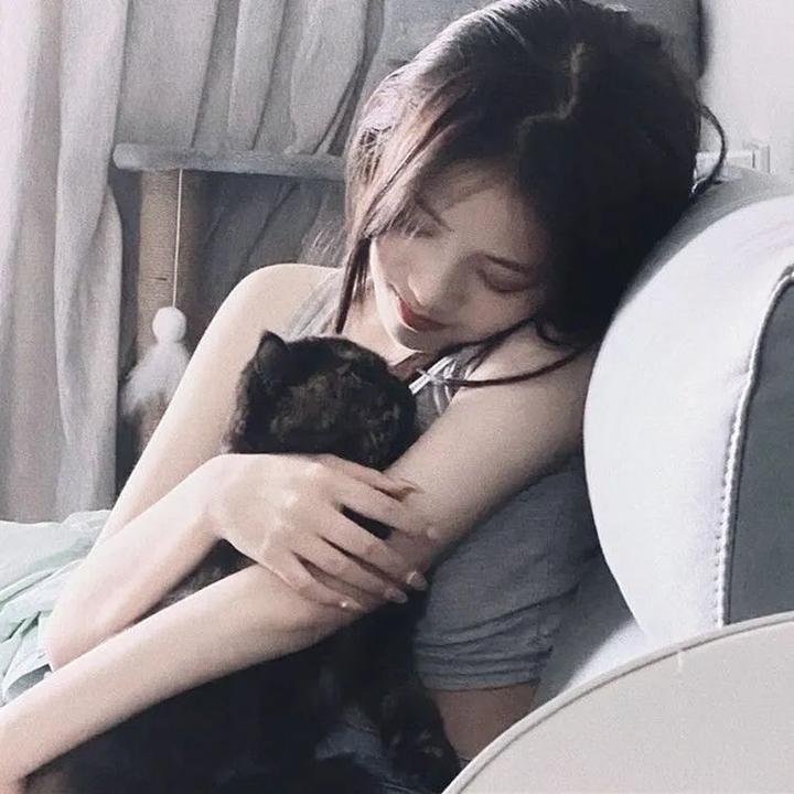 爱尔兰的弗兰克